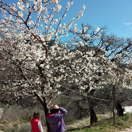 Valle Del Belvedere Сполето Экстерьер фото